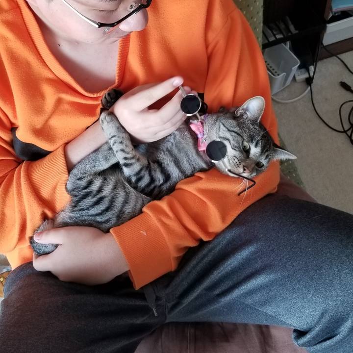 20931cba 2d8d 4ef4 acd1 8388b15e4044 1683038861209