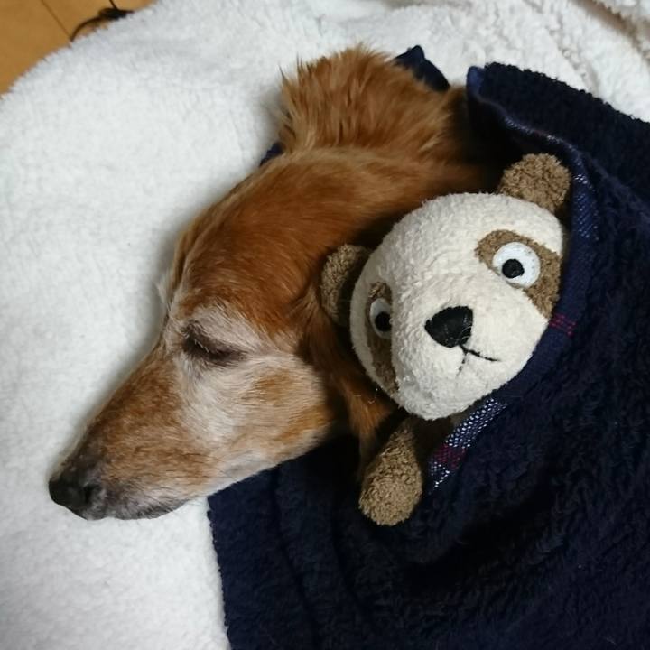 20936e81 68b7 4455 be36 f7c9c9dd8aac 1508674805999