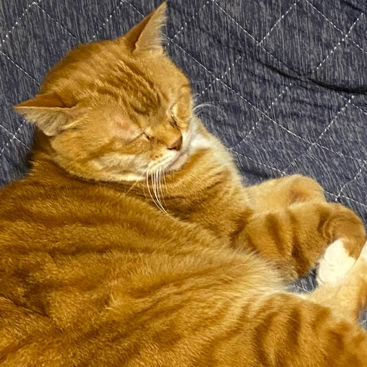 20937223 a0ef 4e00 a28f 3f9706164f44 1619177118380