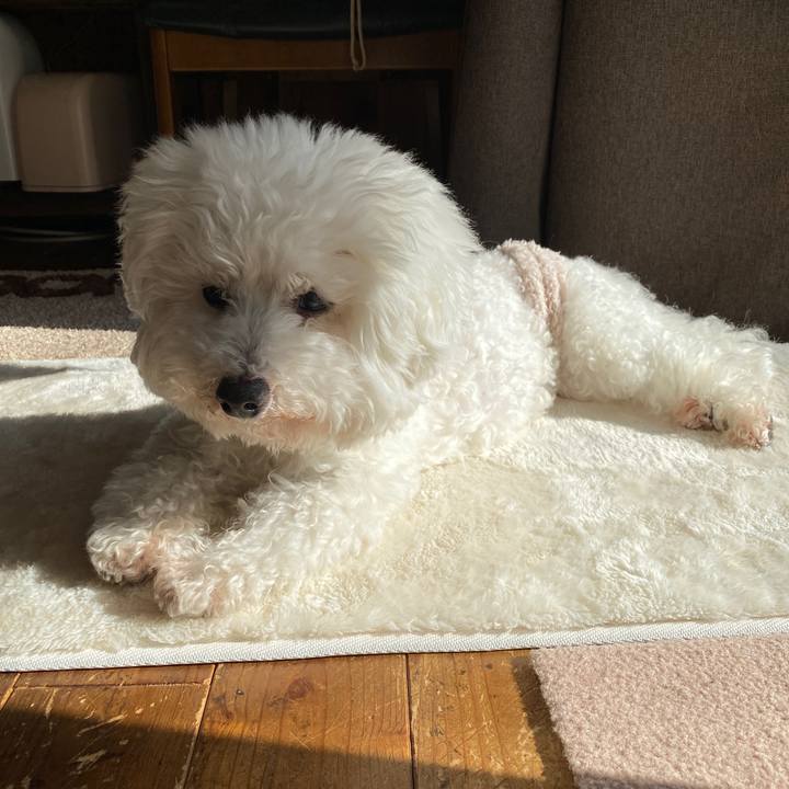 20938e5b 960a 4e10 b6a8 4208c6db30df 1673143863868