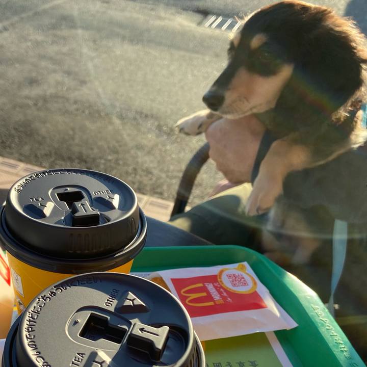 20939cfa 6b27 4481 8683 445e8dd72a92 1668812324290