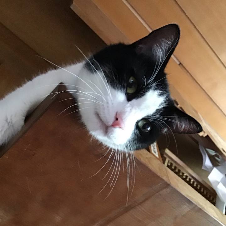 2093c1e7 8c16 48b3 aa56 2983f7e7fb3f 1752316727227