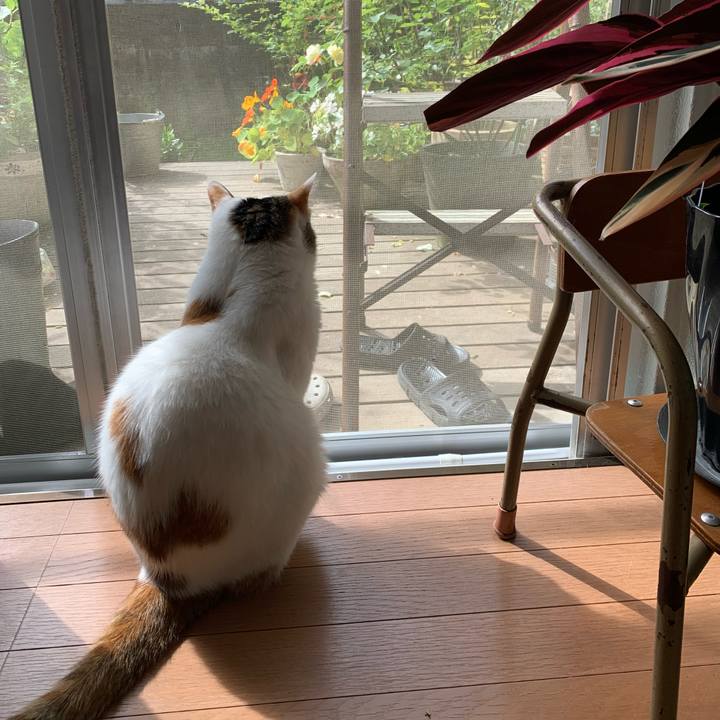 2093db5f 3429 4299 8b70 94aaefff8d3b 1652659149297