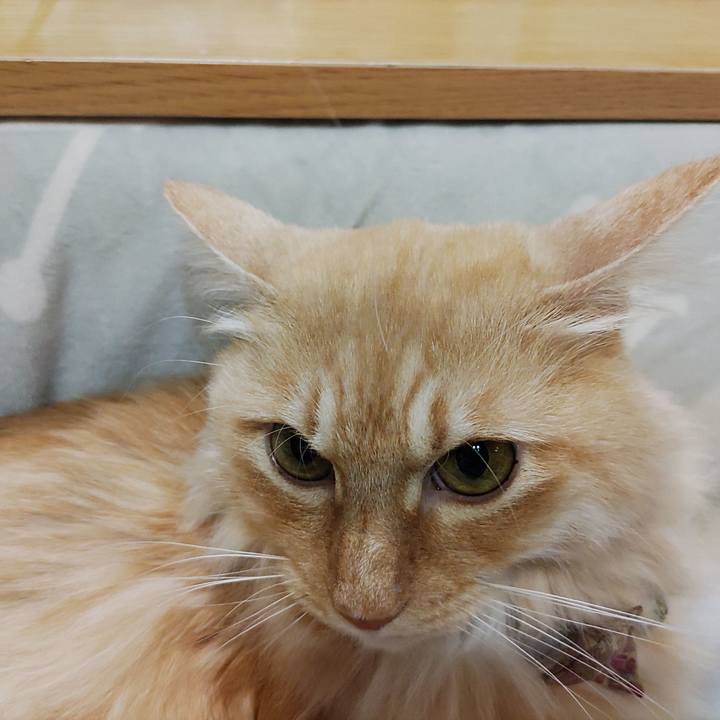 2093e8be 7652 49aa a439 9a6a19189c8d 1702563622596