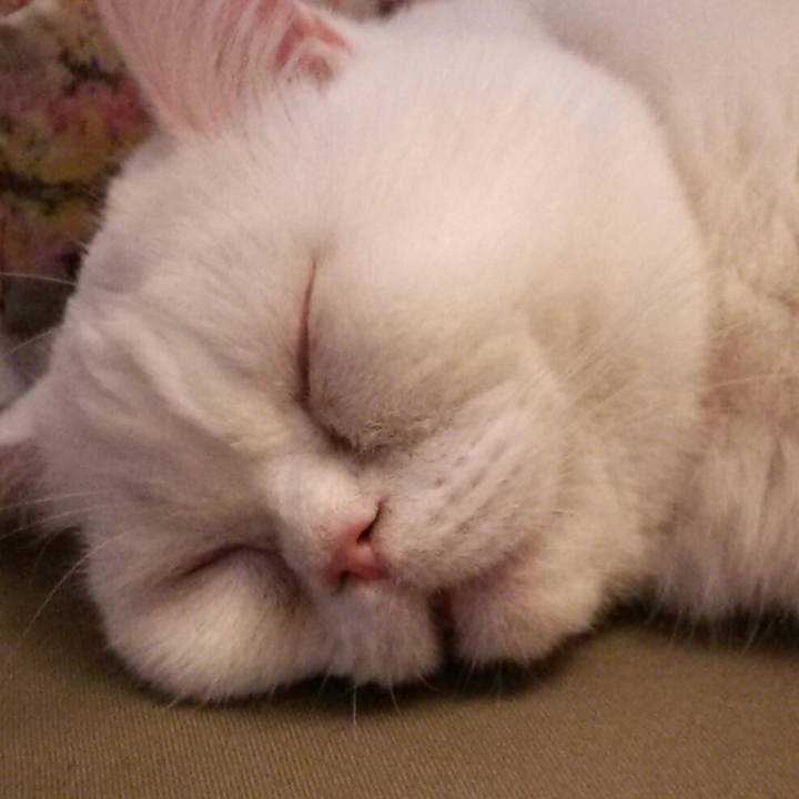 2094222b 1f18 4702 86cf 5d2f4cb06497 1553992926438