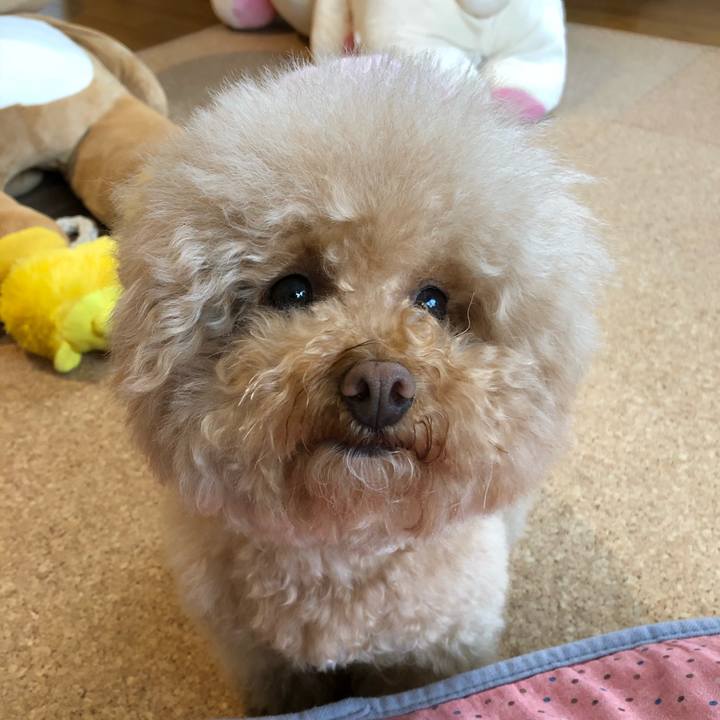 209430d1 3b0d 4854 866b d29a8396526d 1525770026646