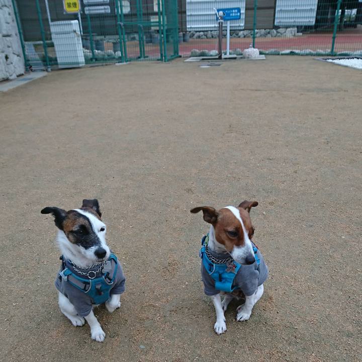 209467af 4f46 494d b74a aac0be86ec0d 1606085750712