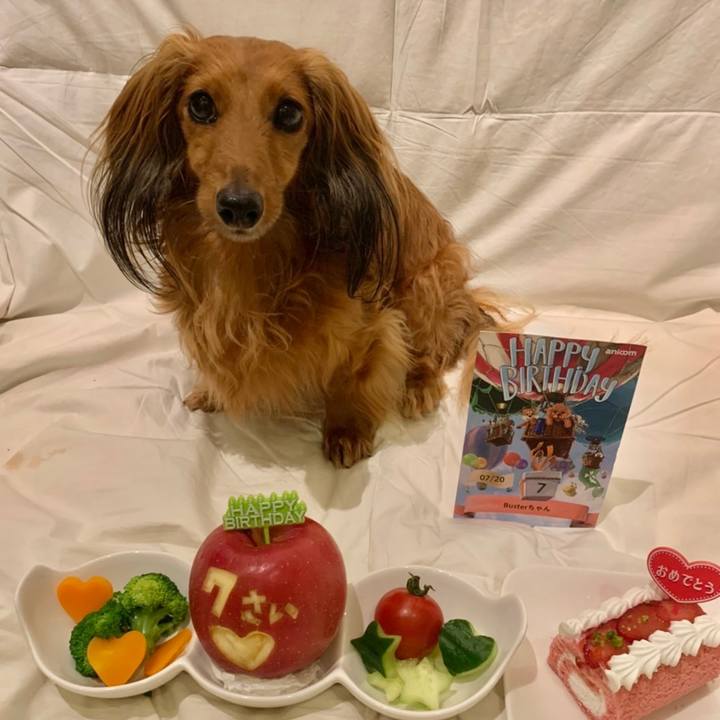 20949a09 ab32 40f3 8da9 7d83f9be7d9e 1658376948561