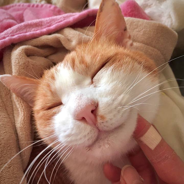 2094a05d ca6f 402d 842d 74e4b32aecb1 1578383475019