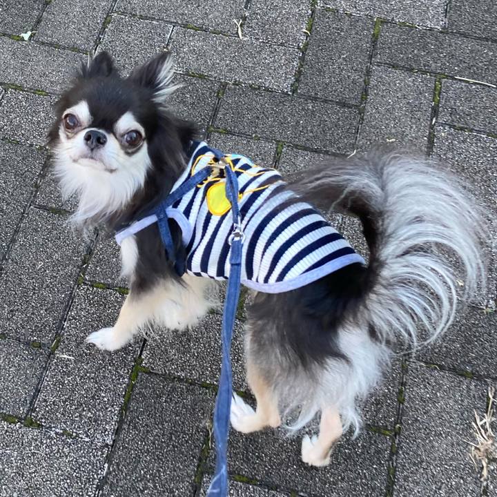 2094f570 265a 4092 9dd2 ec372c4de944 1666531828207