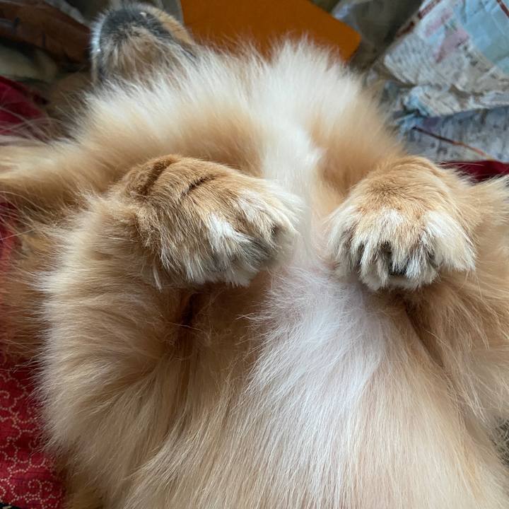 2094fd01 9f92 4f90 bb46 73d9909314f6 1630445719729