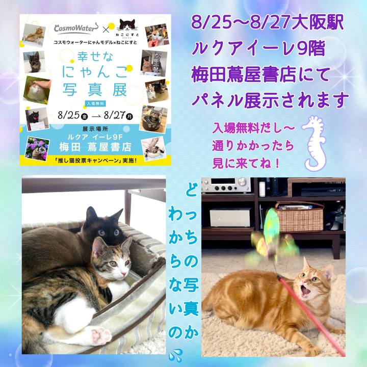 20950238 f15c 48ed b9eb 89705cd9b74c 1692268931239