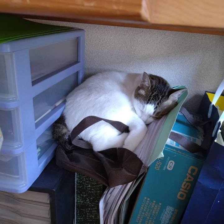 2095228e bf54 42f7 9a90 9b3460d014b6 1751160252711