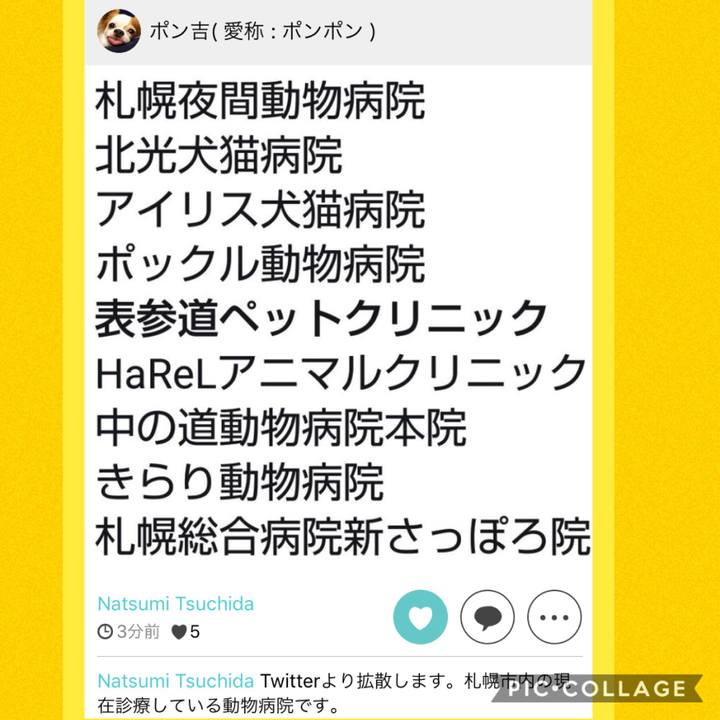 20954664 4e64 4fea af56 d1b388fc407e 1536286031238