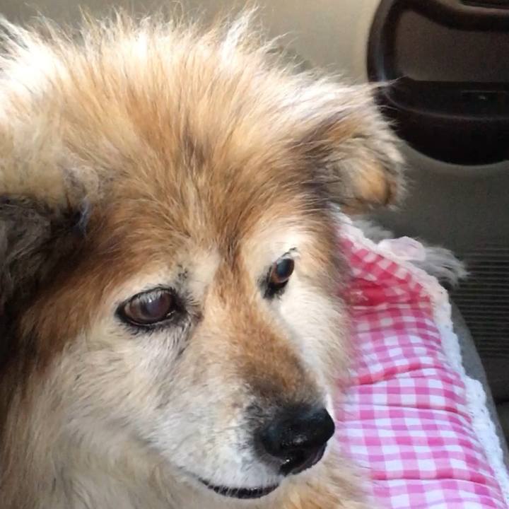 20955a57 b2a5 4413 bf1f d8c4ec4edf10 1573258783714