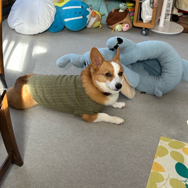 20957510 e701 4f14 a582 9ef3c261b7bc 1764129103521