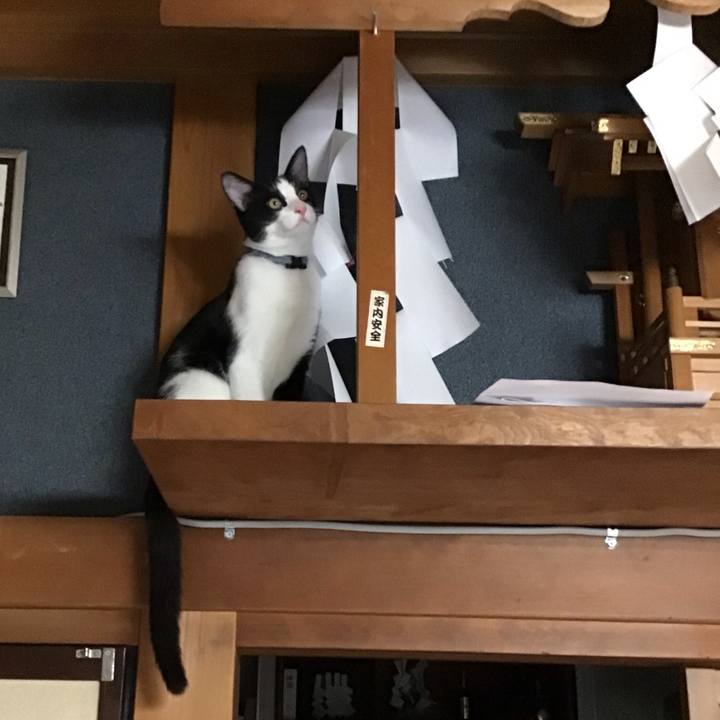 20959d0a d51f 4975 87b8 fa80531f1287 1631695088949