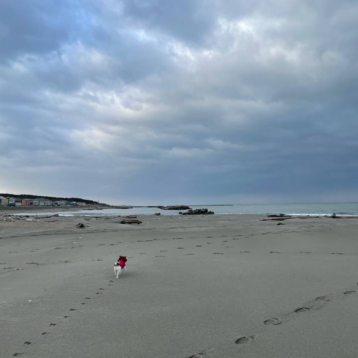 20959e45 5cca 41f1 8b3a c9c6e579a219 1613778915973