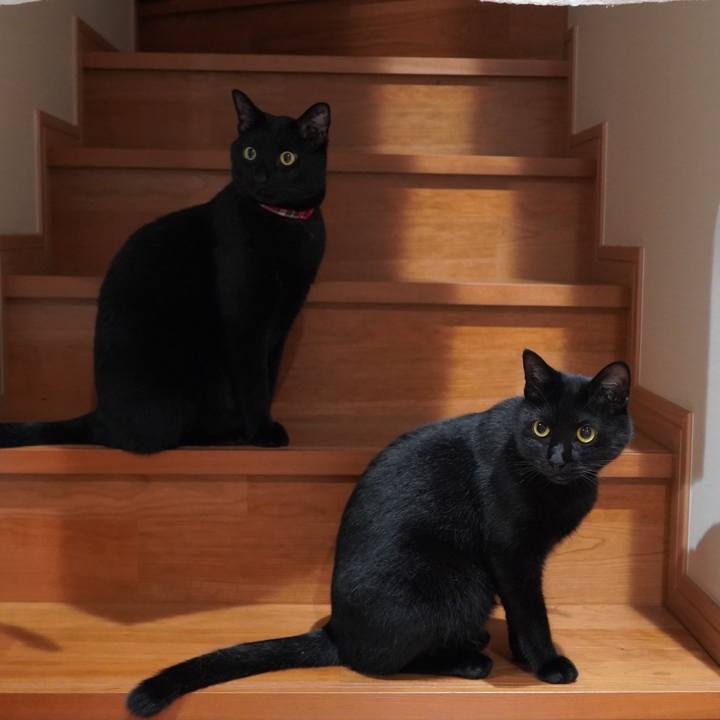 2095a5d0 2733 42d4 aac2 8147b0ba9c4f 1592922866140