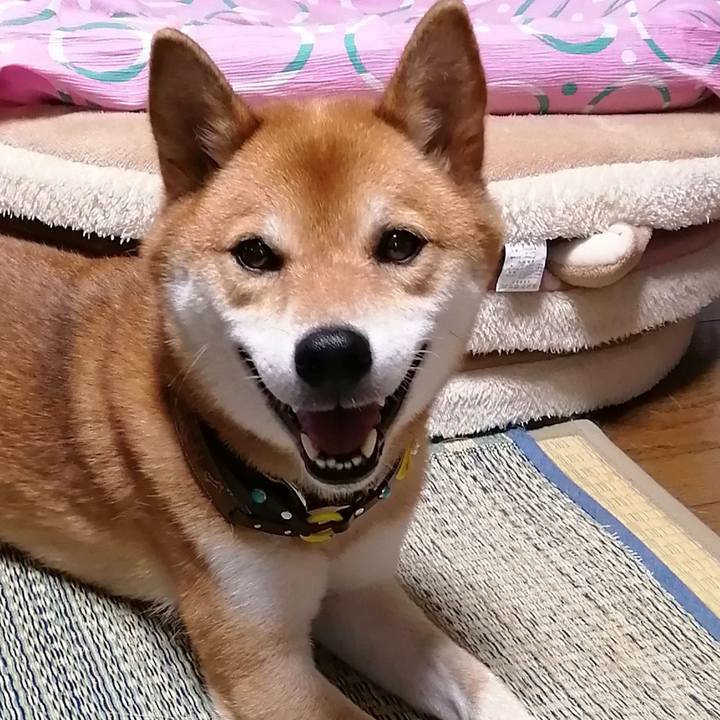 2095bb82 c164 4b12 a950 b72d95f8daad 1597212212411