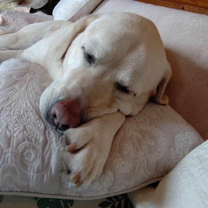 2095d91a c3cc 4e02 bac2 1bca22d1a2e2 1668832519817