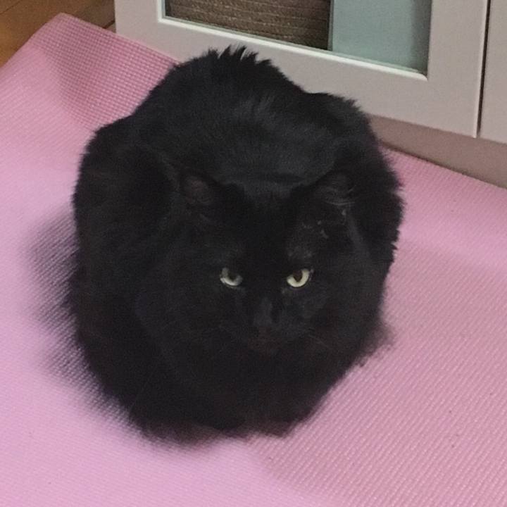 2095da80 a2c2 4a54 9748 bde755c81d3e 1528732136721