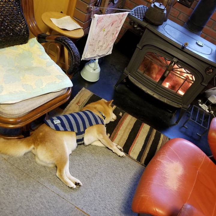 20963376 f0b8 4597 a5e6 7056981d6fed 1575672518308