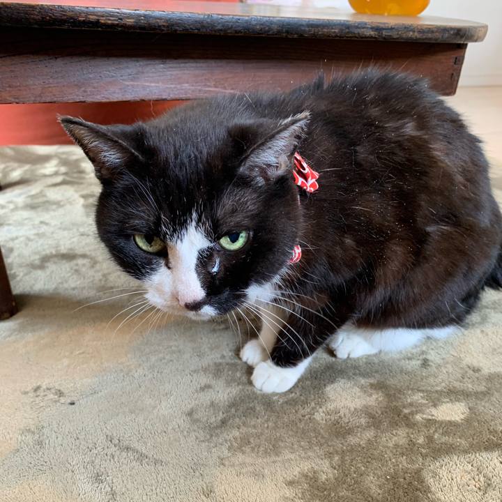 209685de 7433 4009 9adc 3639ece4be8d 1621400772991