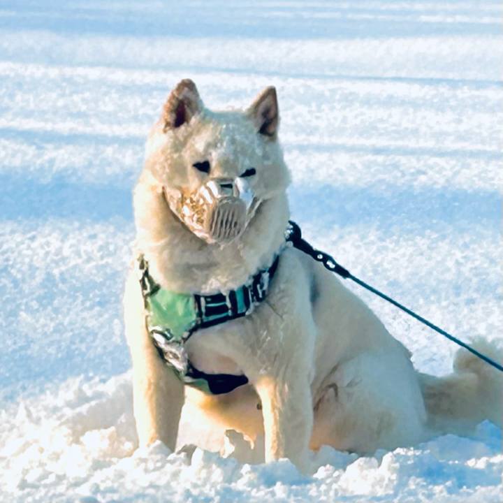 20968a32 0eed 41e3 9447 4af633d646e5 1743373825444