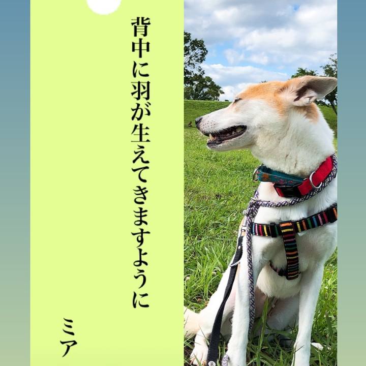 2096c2dd 1671 438b 9acc 9d45d08e58c1 1594110314265