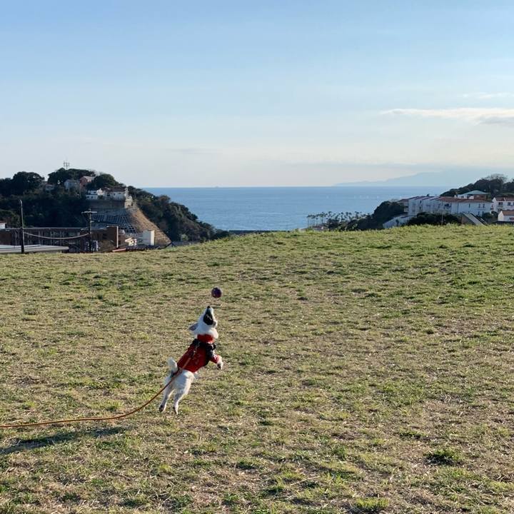 2096cb4a 82b6 4a4e b8ed 5efbff43913a 1679213004672