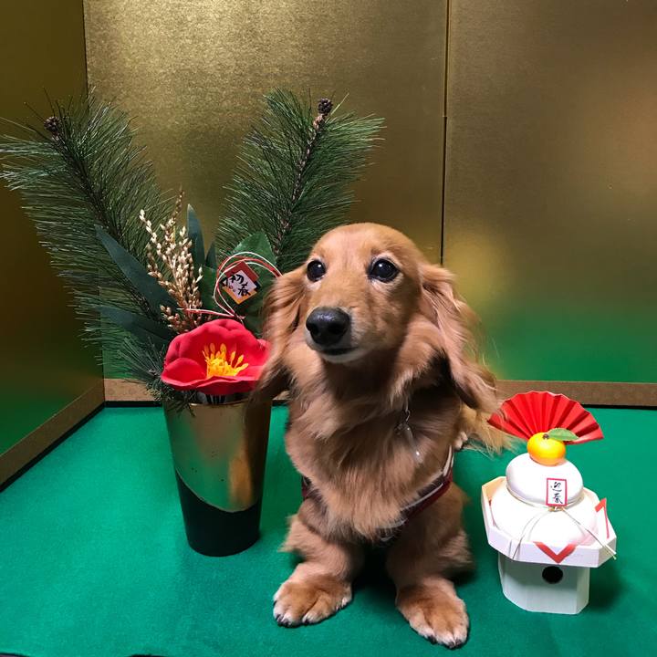 2096dd5a ed89 4963 97b2 28df7958428e 1514775837167