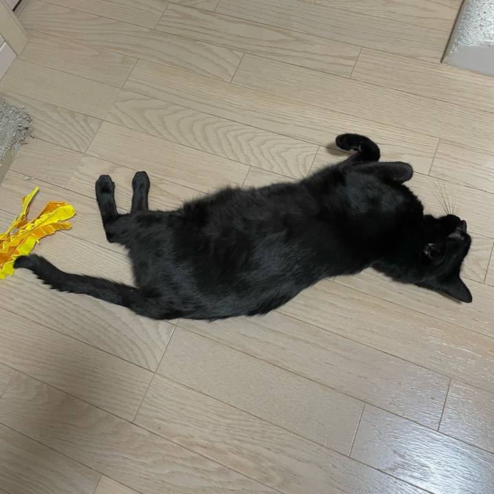 2096dd60 2b83 49ca 8cd2 f3a822eef2ea 1723976041657