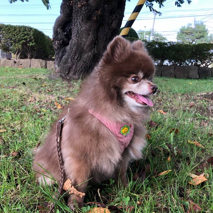 2096f791 61b4 411c 8a27 ad2385a1d868 1633306699228