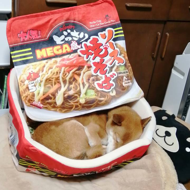 20973d40 c264 414e 88f3 323e05706895 1605615328893