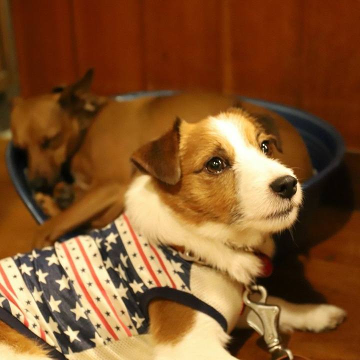 209744ba 9297 409d 8fee 9ffc1d395ac3 1529448967070