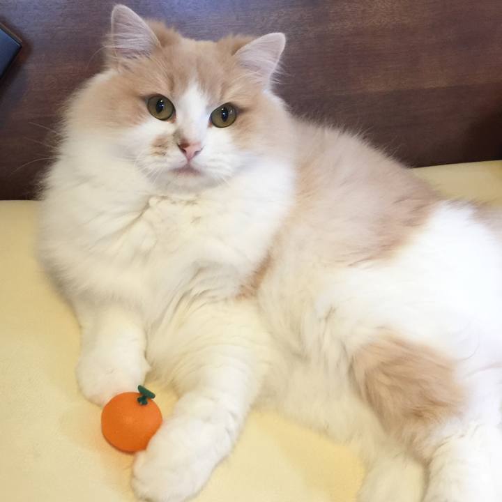 2097e384 7e79 4c99 9327 d707c911a5ff 1508673904521