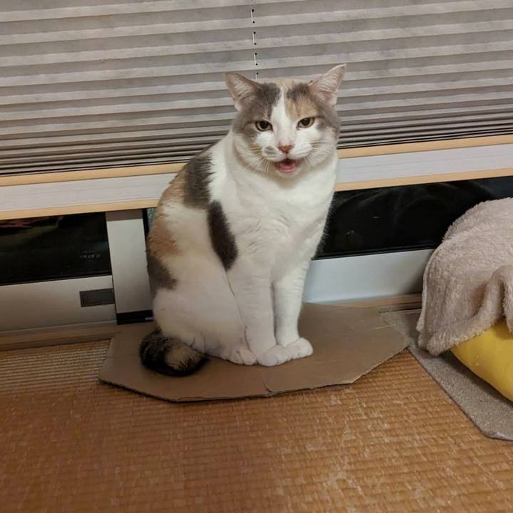 2097f495 036c 483e b903 31ce6c5dd49b 1705979819088