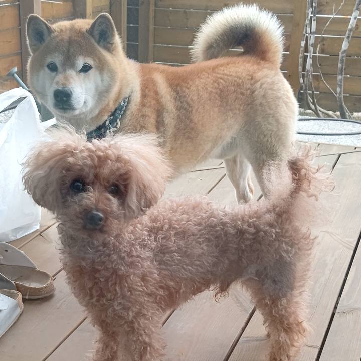 20980d33 c1ad 4bfa b0f5 050bcc1d2a80 1616218742334