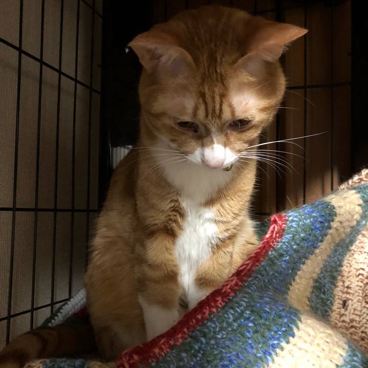 2098335b 724b 4534 a6eb ec58f1623164 1604158908976