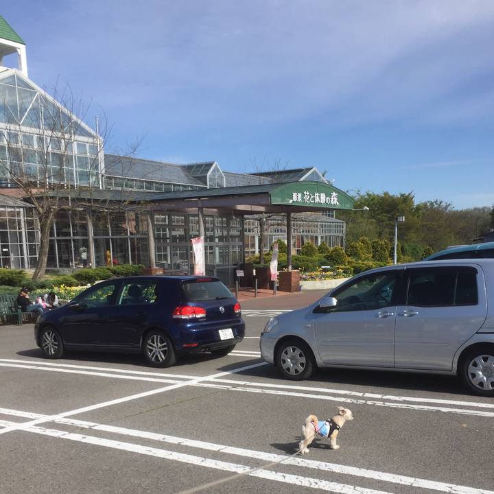 209865b8 9fae 4d94 b23e 9e9b257726ab 1556603044376