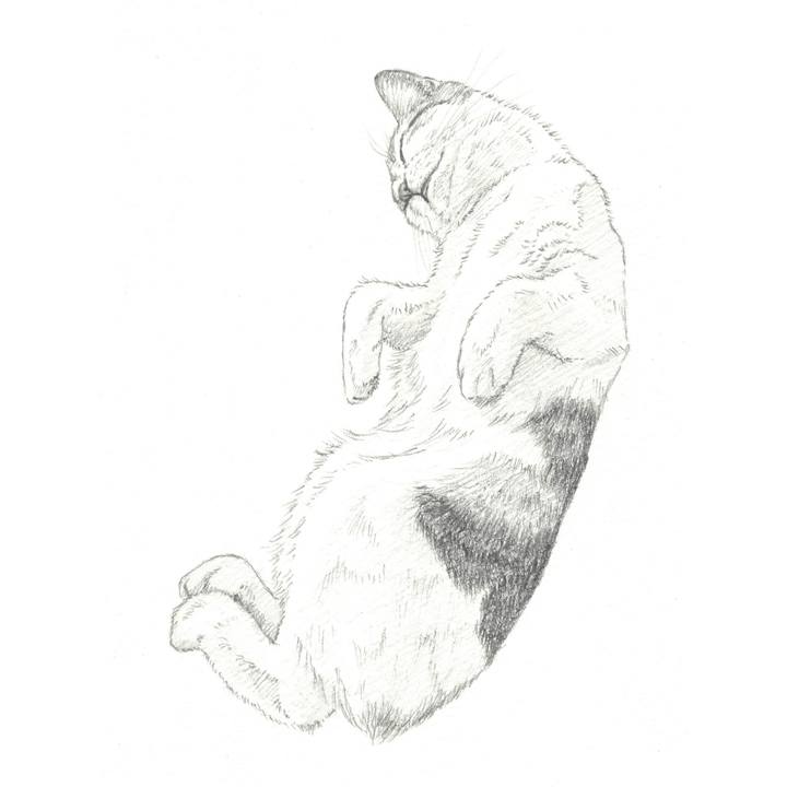 20987ecb 0331 48dd 9b4e fc301b341fdc 1556023660518