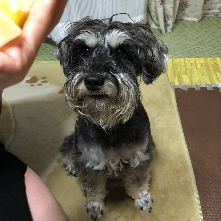 2098b0d4 321f 458e bfb3 6b508fc4490c 1526646693826