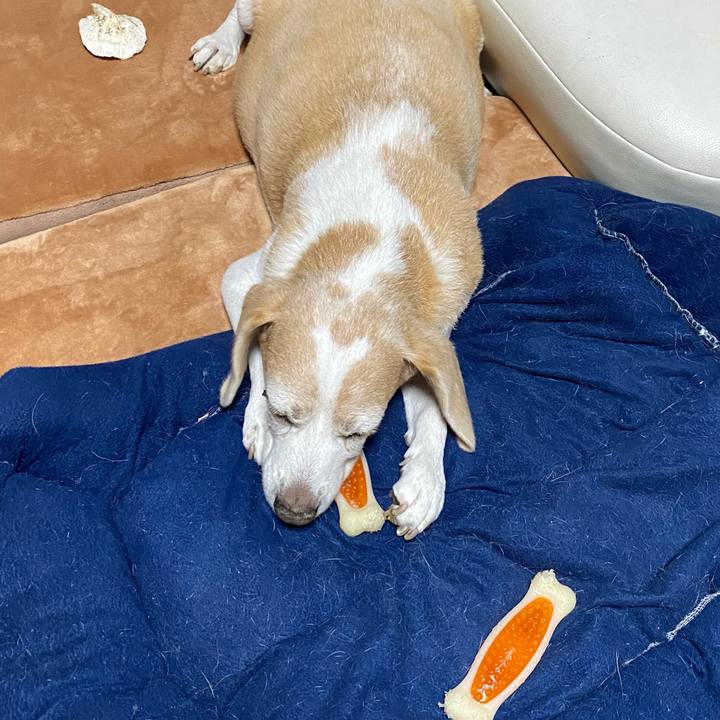 2098d03b 6c8d 450a 870d dacc1fdbca05 1607646253657