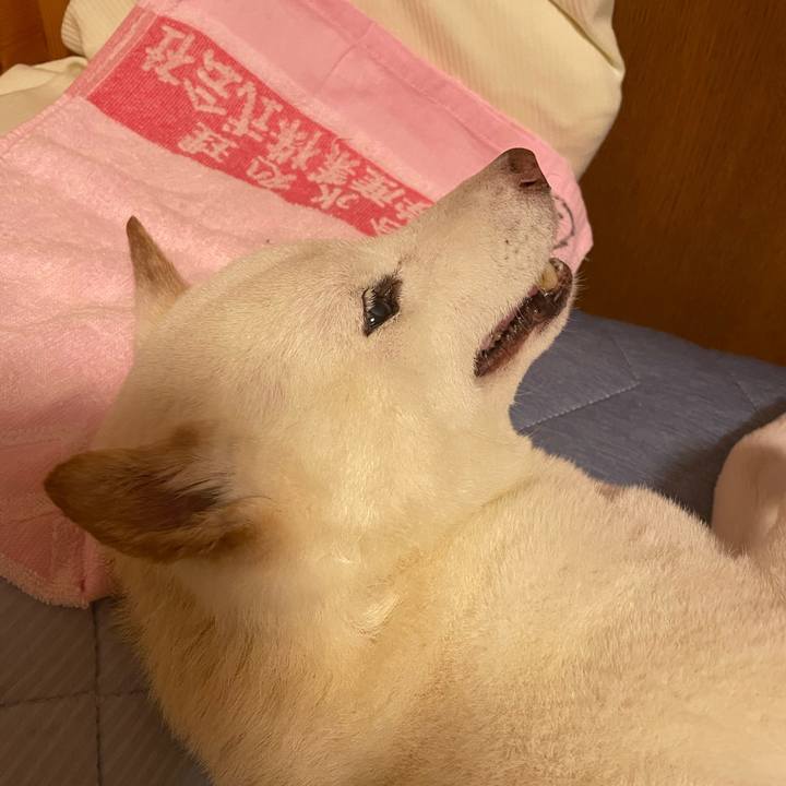 2098d3cc 6f78 4398 84fb 564089a16870 1663160533473