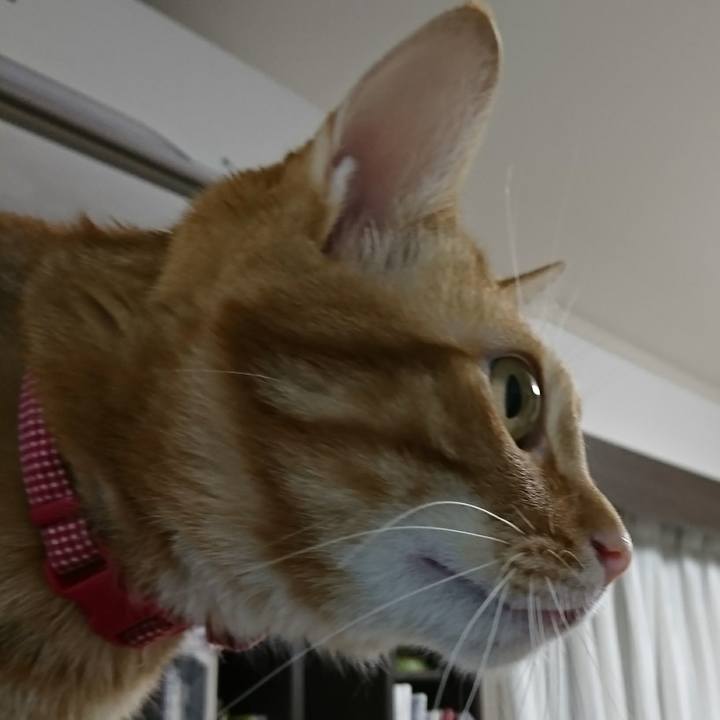 2099327f 1cc3 48da a8d9 0bace77b2a86 1519209257747