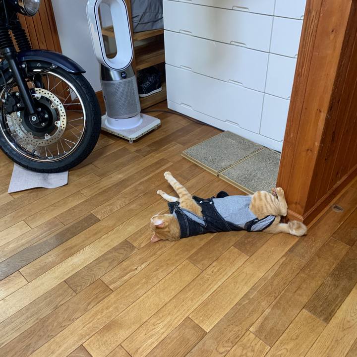 20995145 5355 4dda a328 90c6023bfc65 1659130323010