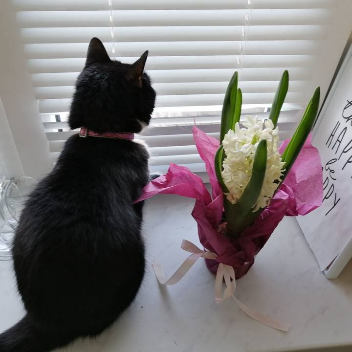 2099c256 fa01 4c4d b415 d8d034655d79 1583736236223