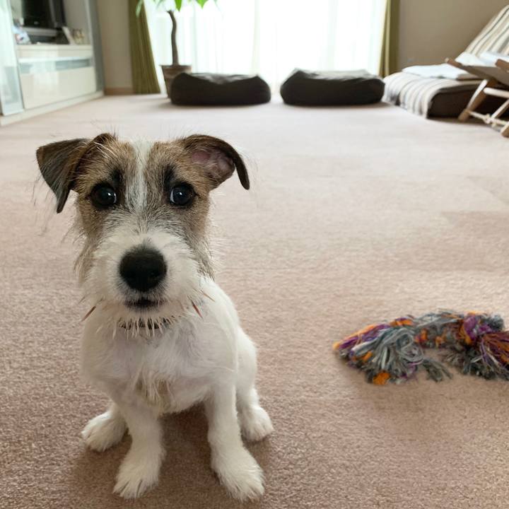 2099cd4b 5f21 4bb8 8d1d 253a2584384a 1564446726394