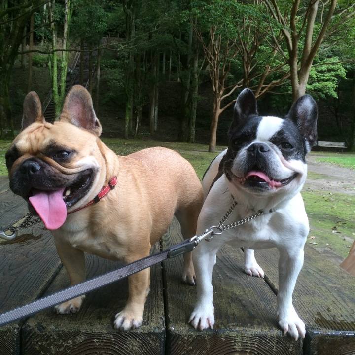 2099d151 c2df 45ba 8cdb 8b82e0a5e022 1636299149352